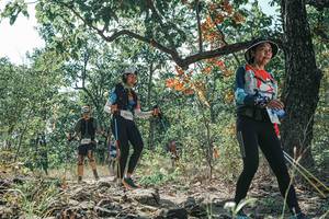 BIB: 
                            <button type="button" onclick="openModal(26114441)" class="btn btn-primary btn-sm float-right btn-popup" data-toggle="modal" data-target=".modal-high-quality">
                        <i class="fas fa-shopping-cart"></i> Add to Cart
                    </button>
                                            <button type="button" onclick="isThisMe(26114441, true)" class="btn btn-success btn-sm float-right btn-popup btn-isme hidden" data-toggle="tooltip" data-placement="bottom" title="นี่คือรูปของคุณใช่ไหม คลิกที่นี่เพื่อเอาเข้าอัลบั้ม">
                        <i class="fas fa-plus"></i> Add to album
                    </button>
                    <button type="button" onclick="isThisMe(26114441, false)" class="btn btn-warning btn-sm float-right btn-popup btn-isnotme hidden">
                        <i class="fas fa-ban"></i> Remove from album
                    </button>